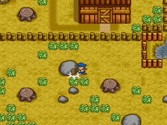 Harvest Moon