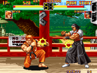 Art of Fighting