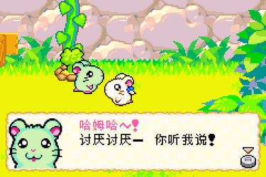 Hamtaro: Rainbow Rescue